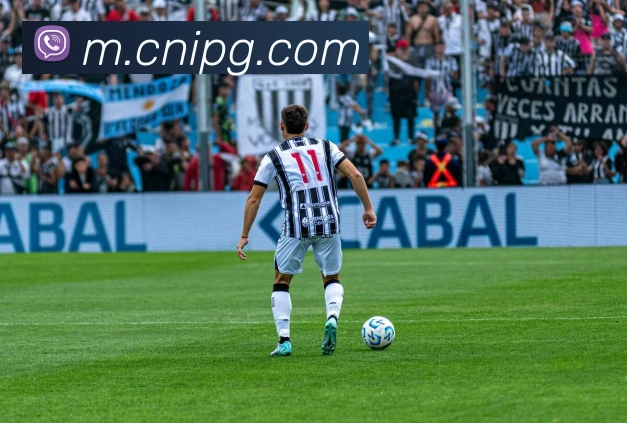 数据防护可视化